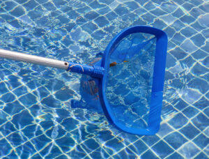 Keeping Bugs Away From Your Swimming Pool
