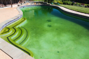 Reasons You Have Green Pool Water