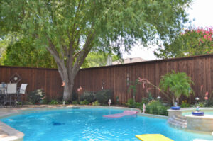 Why to Install a Pool Fence